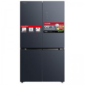 TOSHIBA GR-RF670WI-PGV(A9)-BG