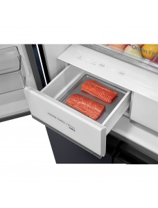TOSHIBA GR-RF670WI-PGV(A9)-BG