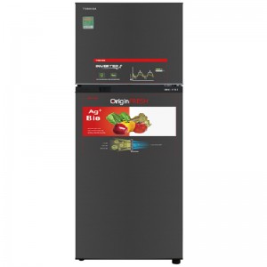 TOSHIBA GR-B31VU (SK)
