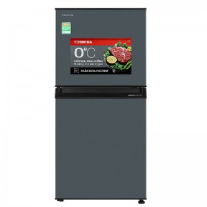 TOSHIBA GR-RT252WE-PMV(52)