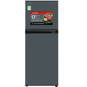 TOSHIBA GR-RT303WE-PMV(52)