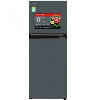 TOSHIBA GR-RT303WE-PMV(52)
