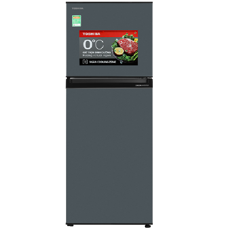 TOSHIBA GR-RT303WE-PMV(52)