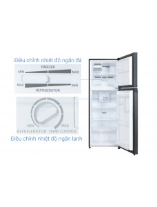 TOSHIBA GR-RT325WE-PMV(06)-MG