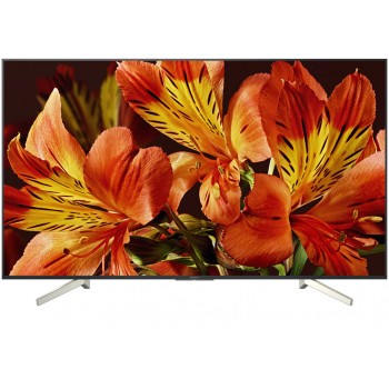 SONY KD-49X8500F